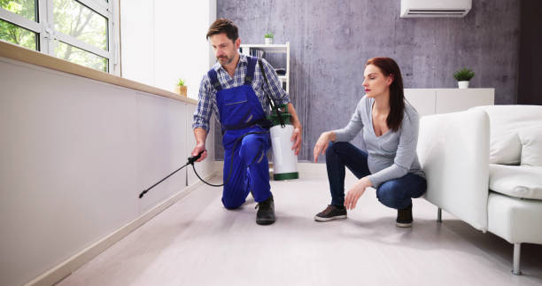 Best Commercial Pest Control  in Birch Run, MI